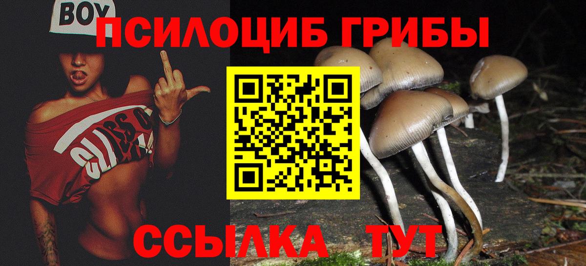 Гулькевичи  Галлюциногенные грибы ЛСД  Вход с VPN  Галлюциногенные грибы ЛСД 